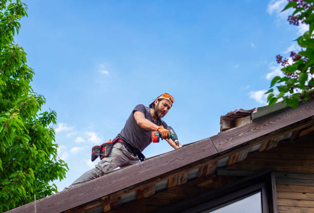Best Asphalt Shingle Roofing  in Conashaugh Lakes, PA